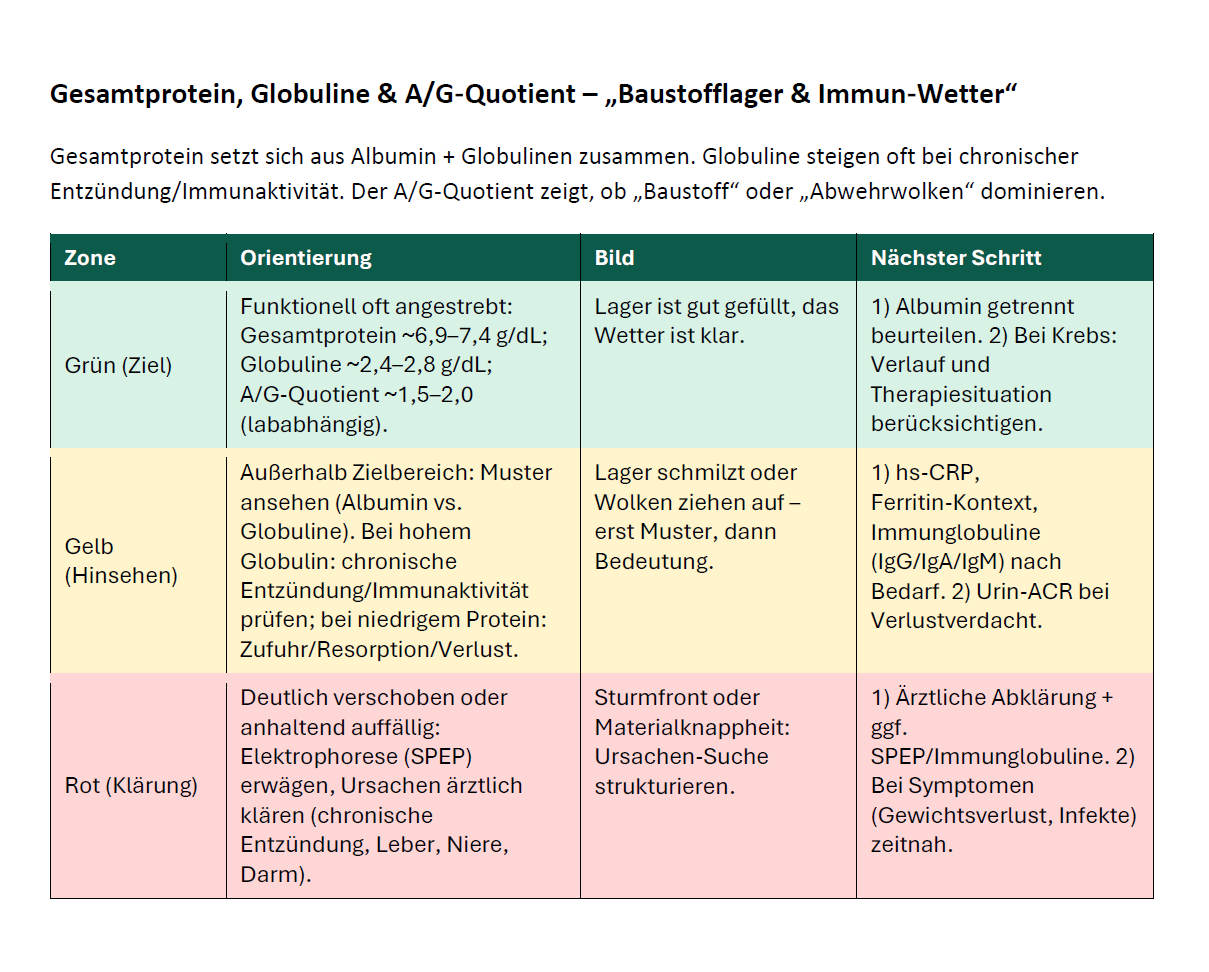 Mockup Ursachenforschung-Ergebnisse / Werte-Landkarte